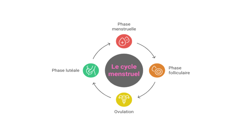 Quelles Sont Les 4 Phases Du Cycle Menstruel Guide Rapide quelles-sont-les-4-phases-du-cycle-menstruel-guide-rapide